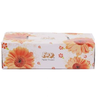 Fay Facial Tissue 2ply