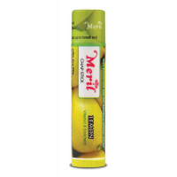 Meril Lip Balm 4.8g