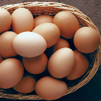 Brown Egg 1pcs