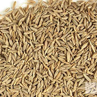 Jeera Cumin Seeds 1 kg