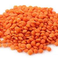 মসুর ডাল ইন্ডিয়ান I Red Lentil  Masur dal Indian1kg