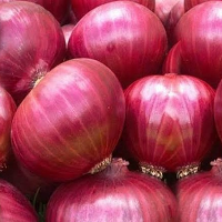 পেঁয়াজ ইন্ডিয়ান I Onion Indian 1kg