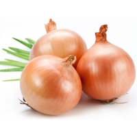 Onion LC TCB 1 KG