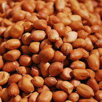 চিনাবাদাম I Kosturi  Peanut 25g