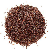 সরিষা দানা I Kosturi Mustard Seed 100g