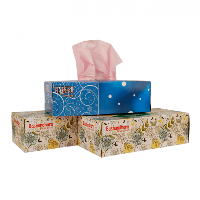 BashunDhara Facial Tissue Box