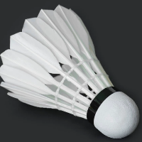 Ever Young Badminton Feather