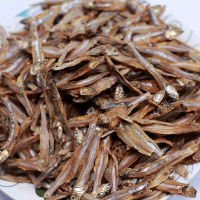 মলা  শুঁটকি Dry fish Mala Shutki  100g