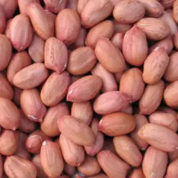 Peanut Indian (চীনা বাদাম) 1kg